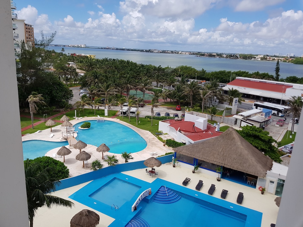Salvia Cancun