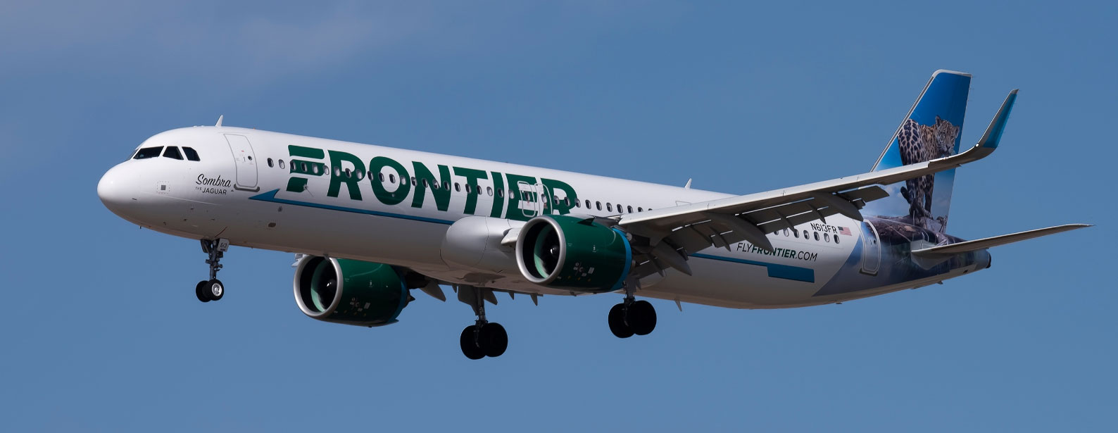 expert-guide-to-frontier-airline-sports-equipment-policy